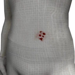 Cosmos Zombie Wounds - Sores
