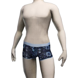 Palermo Root Briefs