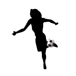 Cosmos Nutmeg Soccer Ball - Interactive