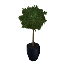 Park Square Topiary