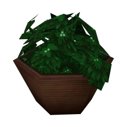 Fabulous Fronds