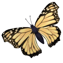 Gold Butterfly