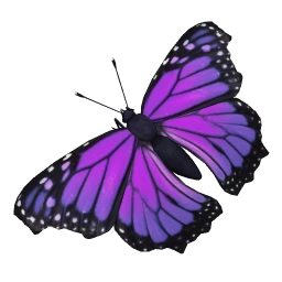 Purple Butterfly