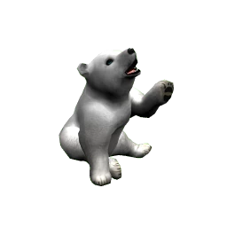 Polar Bear