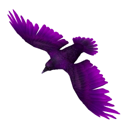 Amethyst Raven