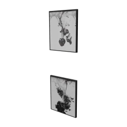 Splashes of Black