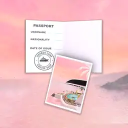 Sunset Boarding